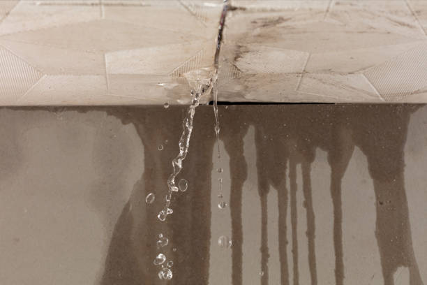 Professional Flood Damage Cleanup technician working in Holton, KS